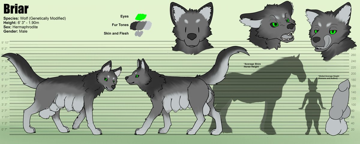 Ref Sheet Comm for WeirdfatSnake, from telegram. Thanks to their support!