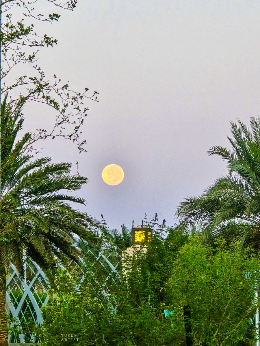 سماء طيبة الآن  🌕 🤍