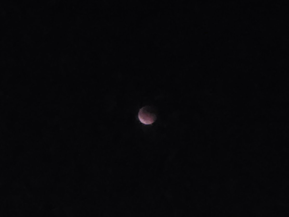 AllisonAronya's tweet image. Instantaneu de aseară de la eclipsa de lună...🌗
În noaptea adâncă, cu cer întunecat, abia se zărește luna pe care pâlpâie lumina refractată  de pe pământ în nuanțe de roșu și portocaliu...🌗
#luna 🌗 #eclipsa 🌗