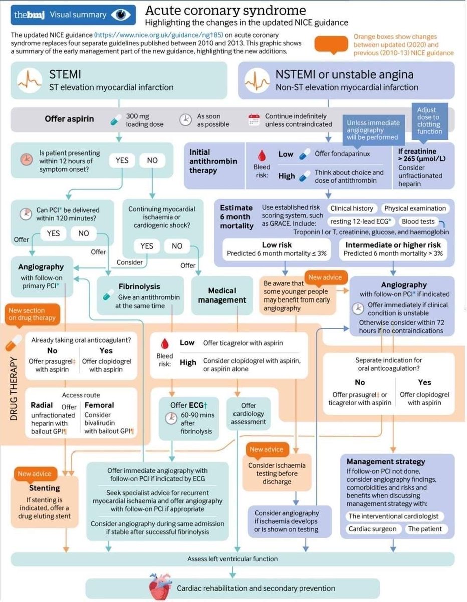 Acute Coronary Syndrome 🫀

👀☠️👀