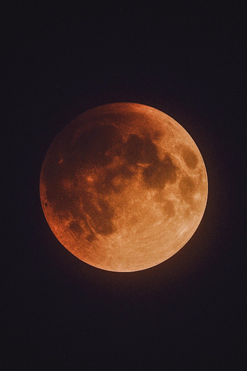 nomadic_frame's tweet image. GN 🌑✨

ITAP of tonight’s eclipse, the Blood Moon reminding us that shadows pass, light endures.