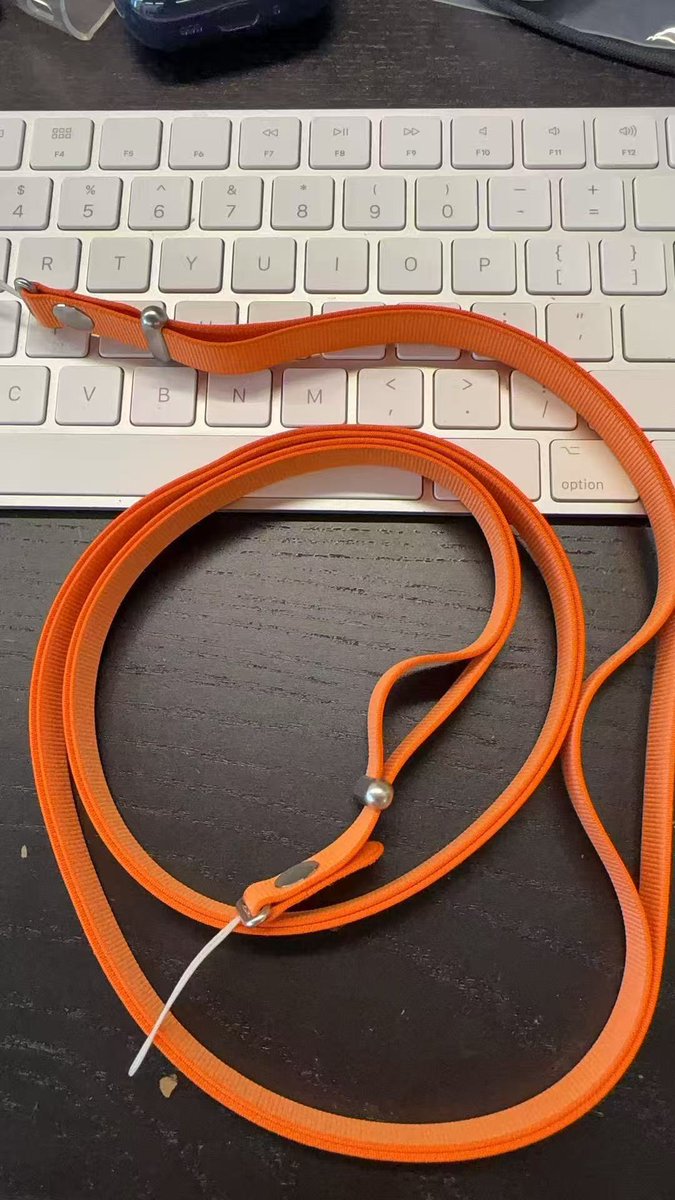 SonnyDickson's tweet photo. Here’s your first look at the Crossbody Strap for iPhone 17, do people actually use these? https://t.co/jcJOuleRbq