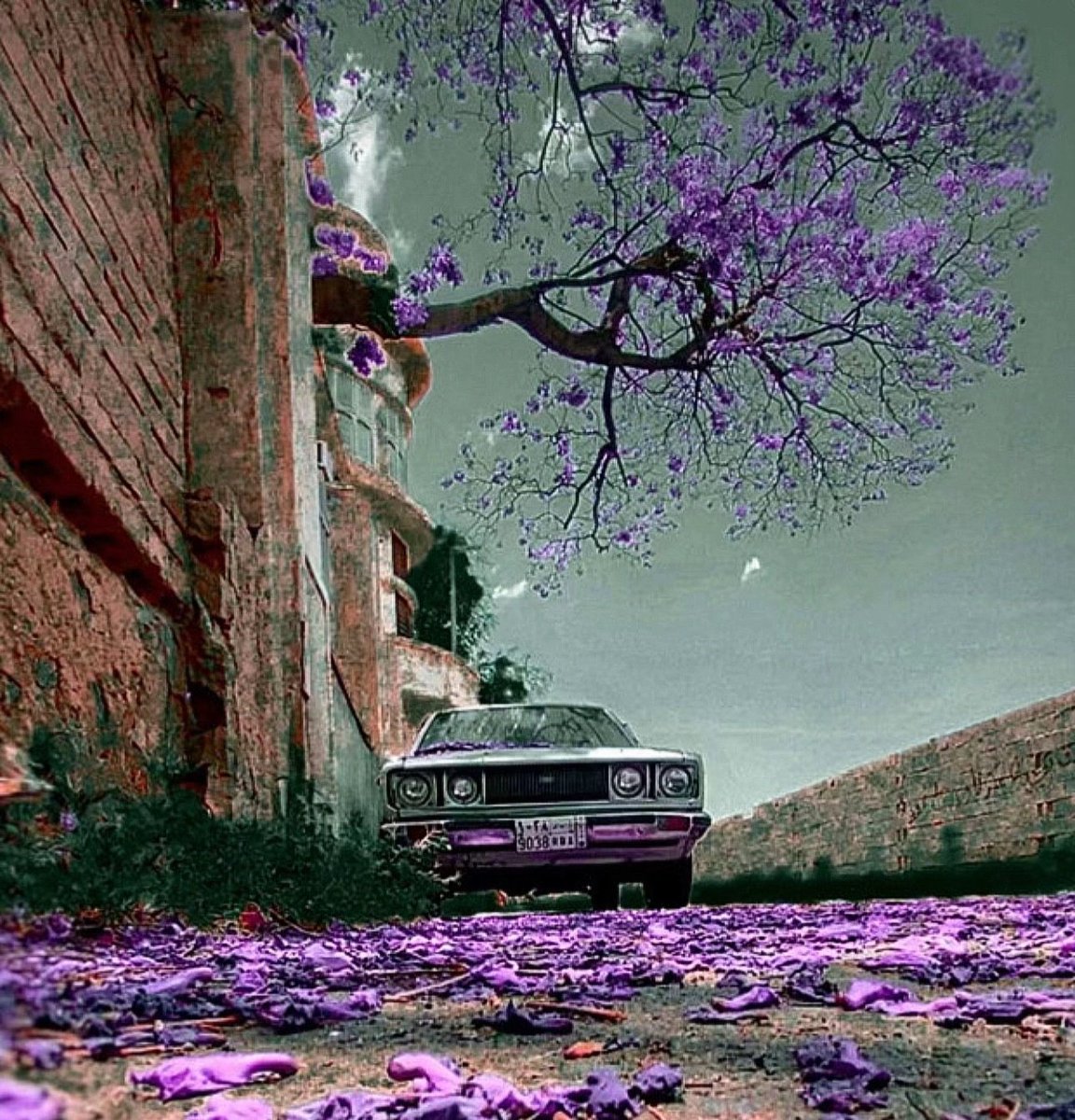 .
.
.

ما عاد حـنا ثنيـن يا صبـح الإثنيـن
جارت عليـنا ظـروف الزمـن ؛ وإفتـرقنا..؛🌿

.
.
.

#صباح_الخير