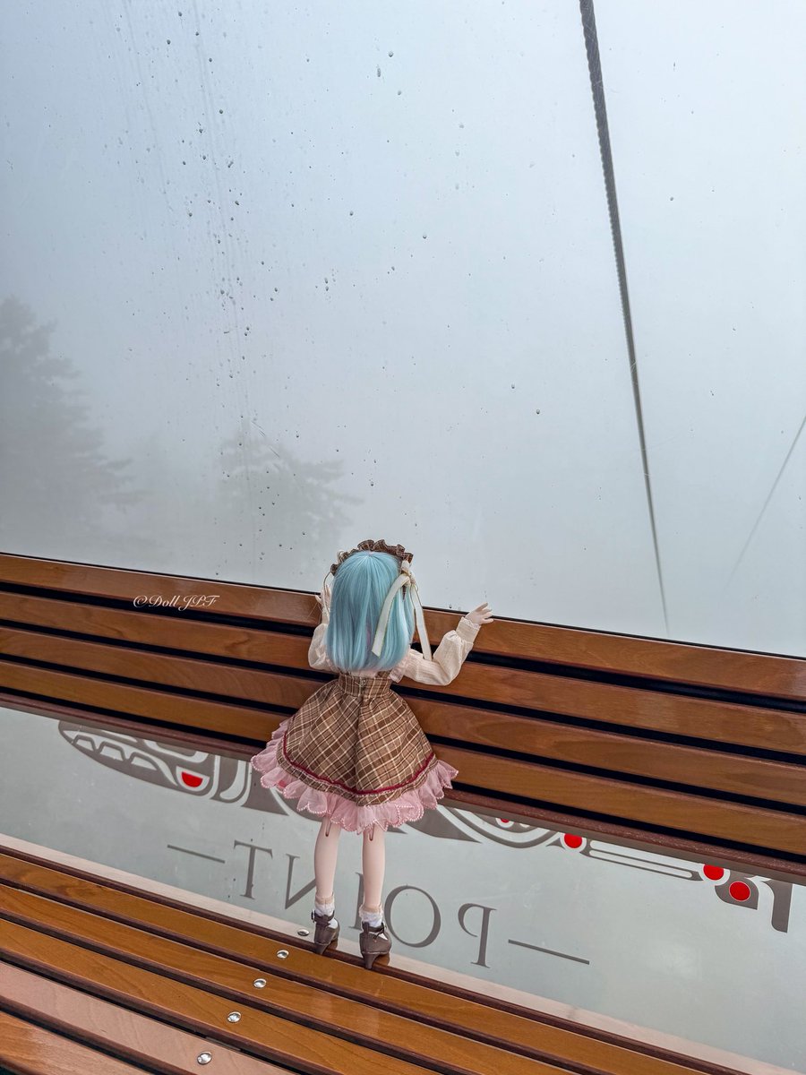 AndroidPDF's tweet photo. [2025-09-04]
宙奈ちゃん: そろそろ下山する🚠 ニャ〜✨ ฅ(ΦωΦ)ฅ✨

#IcyStraitPoint #alaska #ncl #norweigancruiseline #norweiganjoy #cruiseship #姫りんごウイッグ #scarletalice #fashiontaildoll #fashiontail #深海瞳 #りあんっ子 #mdd宙奈 #mddはいいぞ #catgirl #dolljpf https://t.co/TfkMCjMKuu