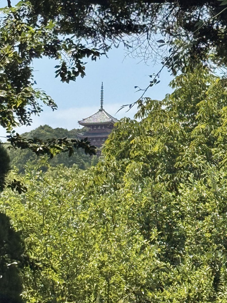 ものべ川 (@iosif_1221) on Twitter photo 今日はお休みを頂いてます。
牧野植物園に癒されに来ています🌱
(´-`).。oO(いつか佐川町にも行きたい) 今日はお休みを頂いてます。
牧野植物園に癒されに来ています🌱
(´-`).。oO(いつか佐川町にも行きたい)
