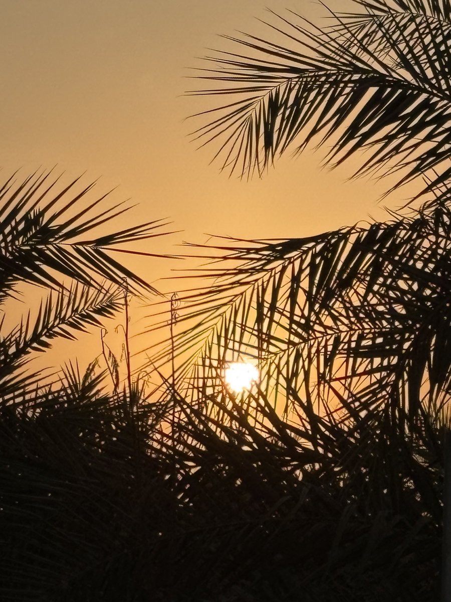 SalamAlaikum To Everyone and a blessed week ahead AMIN 🙏🌅.