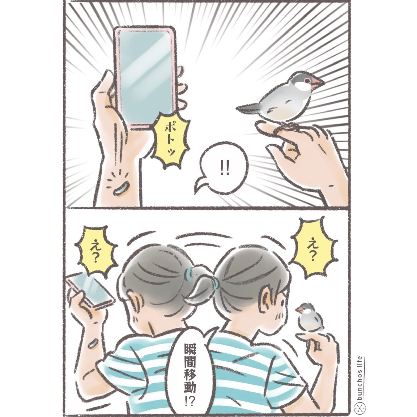 こむぎこページ♡ Highlights by こむぎこ2000 (@komugiko_2000) / X