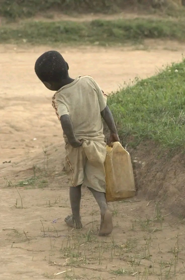 mtsonga12's tweet image. Good Morning Everyone.