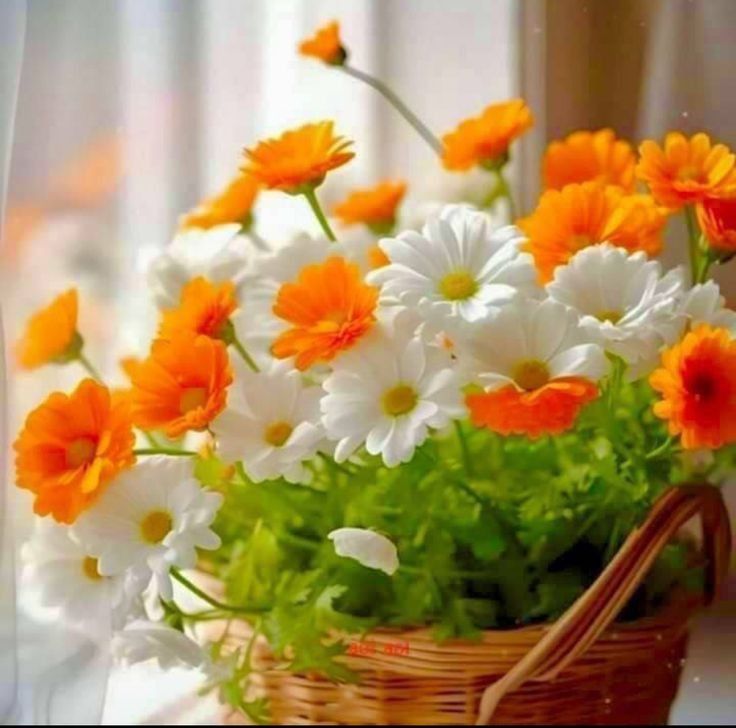 Günaydın! Güzel bir hafta geçirmenizi dilerim!

Bu hafta birçok yeni fırsat, olumlu değişim ve bereket getirsin!
İlham sizi ileriye taşısın, enerjiniz bol olsun.