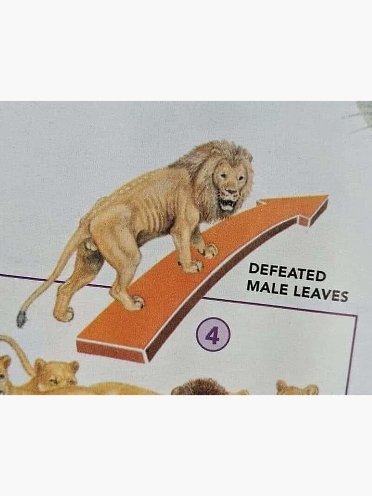 #GoPackGo