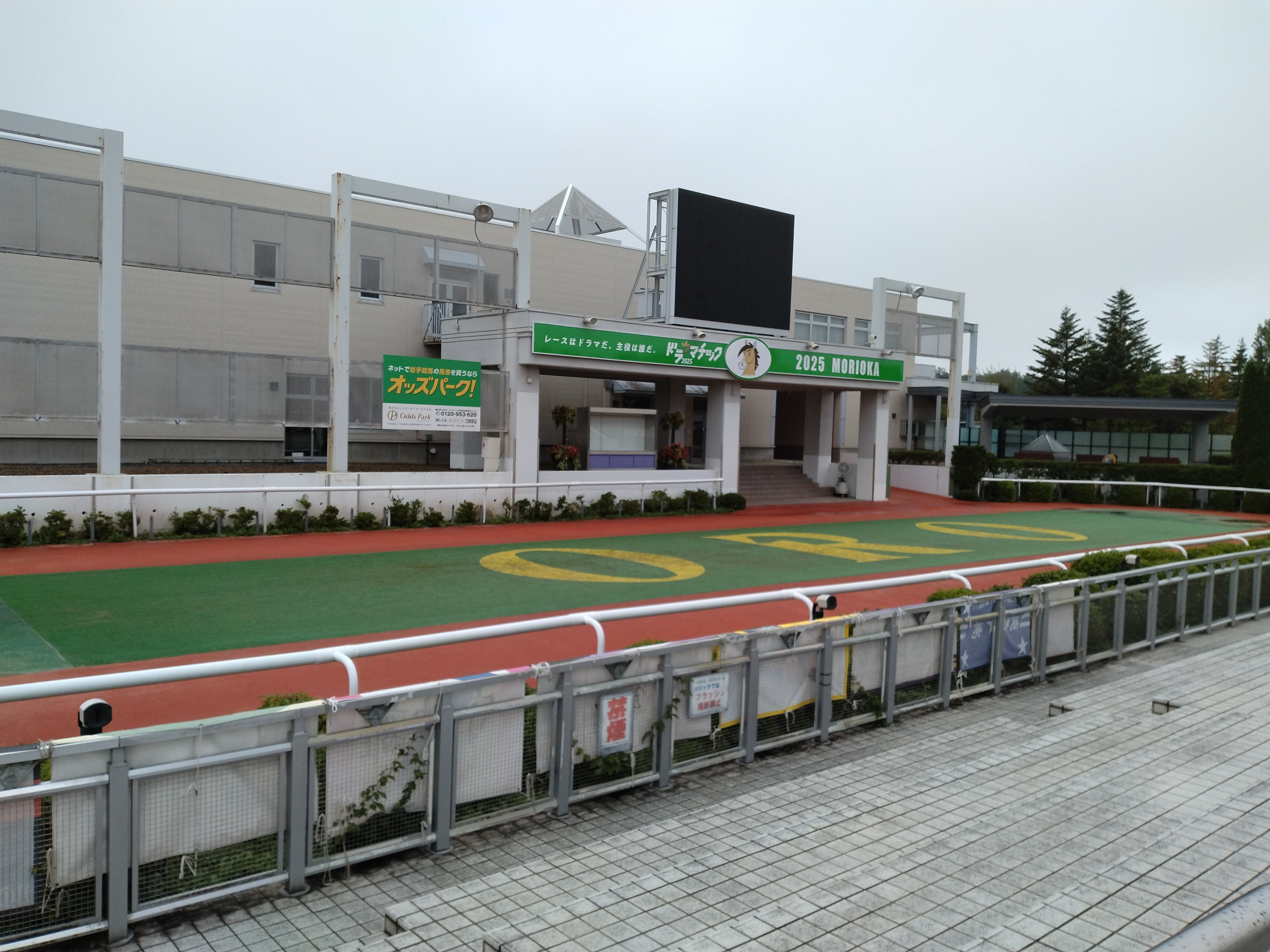 【中古】30years Iwate Keiga 岩手県競馬組合30周年記念誌 岩手県競馬組合30周年記念誌 / 古本、中古本、古書籍の通販は