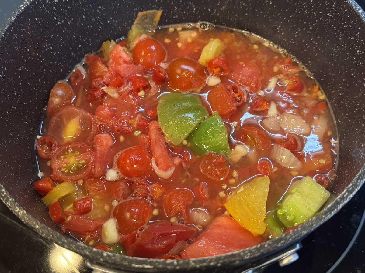 mikemasm's tweet image. Made some hot sauce with some chillies, tomatoes, green tomatoes, cherry tomatoes, onion and garlic. 

Turned out way better than I expected… I think I’ll have to start making hot sauce more often 🌶️ 🤤