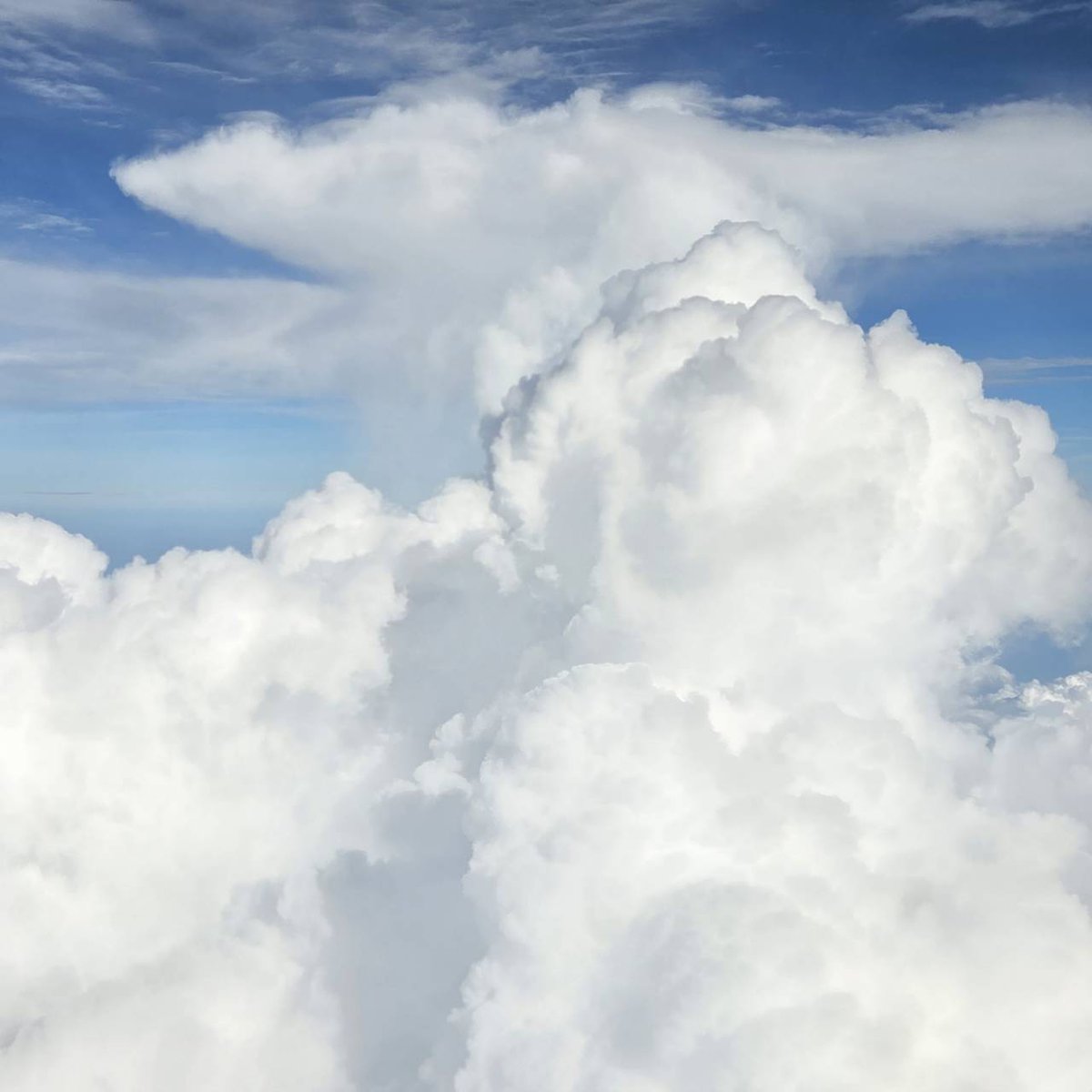 今週の出演者情報はこちら✨

月 くり万太郎さん
　　（放送終了radikoをﾁｪｯｸ!）
火 森田耕次デスク
水 ひろたみゆ紀アナウンサー
木 渡辺一宏デスク
金 松本秀夫アナウンサー

お便りテーマ「最近、買ったもの」
リクエストソング
募集中 ue@1242@com
お待ちしています🙇‍♀️

#あさぼらけ 写真館もね