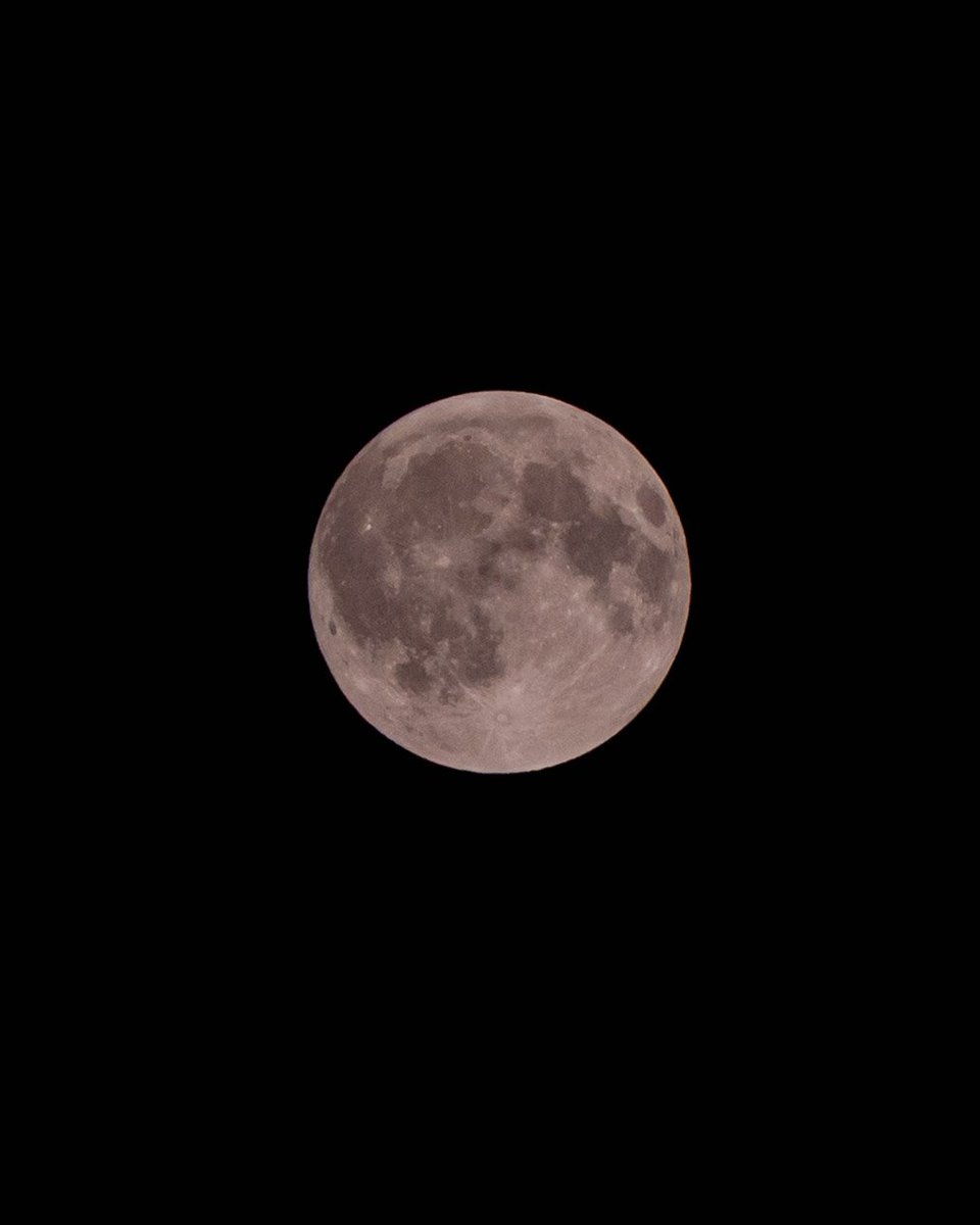 g066shr's tweet photo. #満月
#CornMoon https://t.co/VOcTKIPc1t