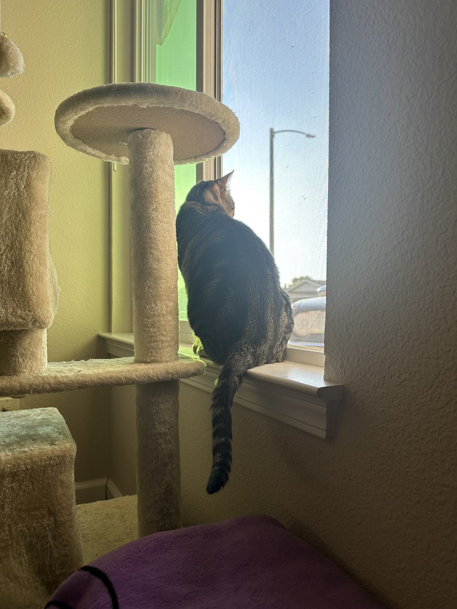 Sunday chill vibes🩷 Don’t forget to take care of yourselves &amp; protect your mental health. Hope you’re all enjoying your weekend❤️