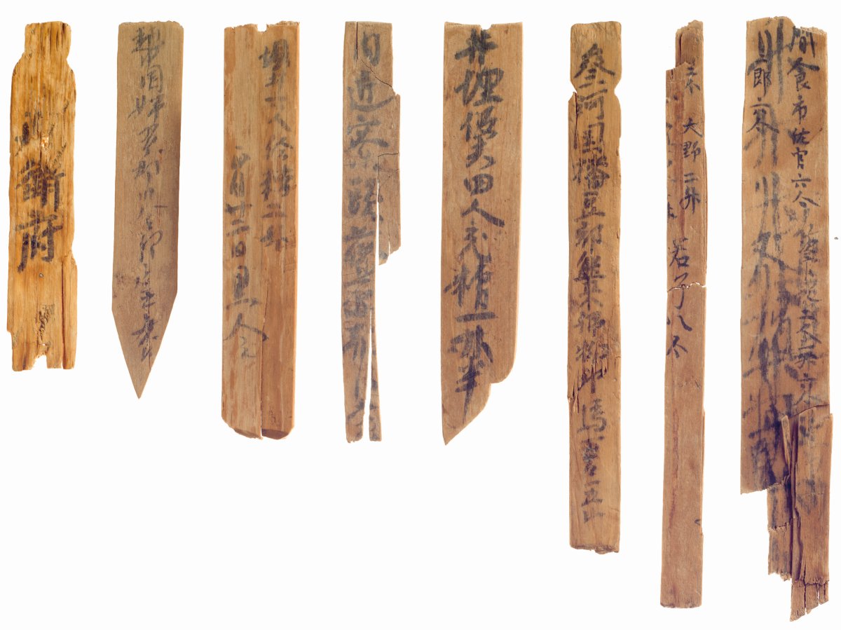 【新品】奈良文化財研究所『藤原宮木簡四』 藤原京跡の「九九木簡」は最古級の「九九一覧表」だった？ 奈良