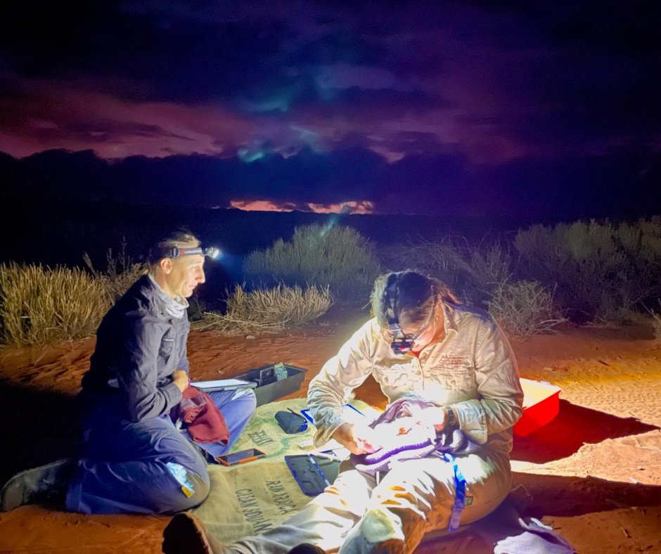 Australian Wildlife Conservancy tweet media