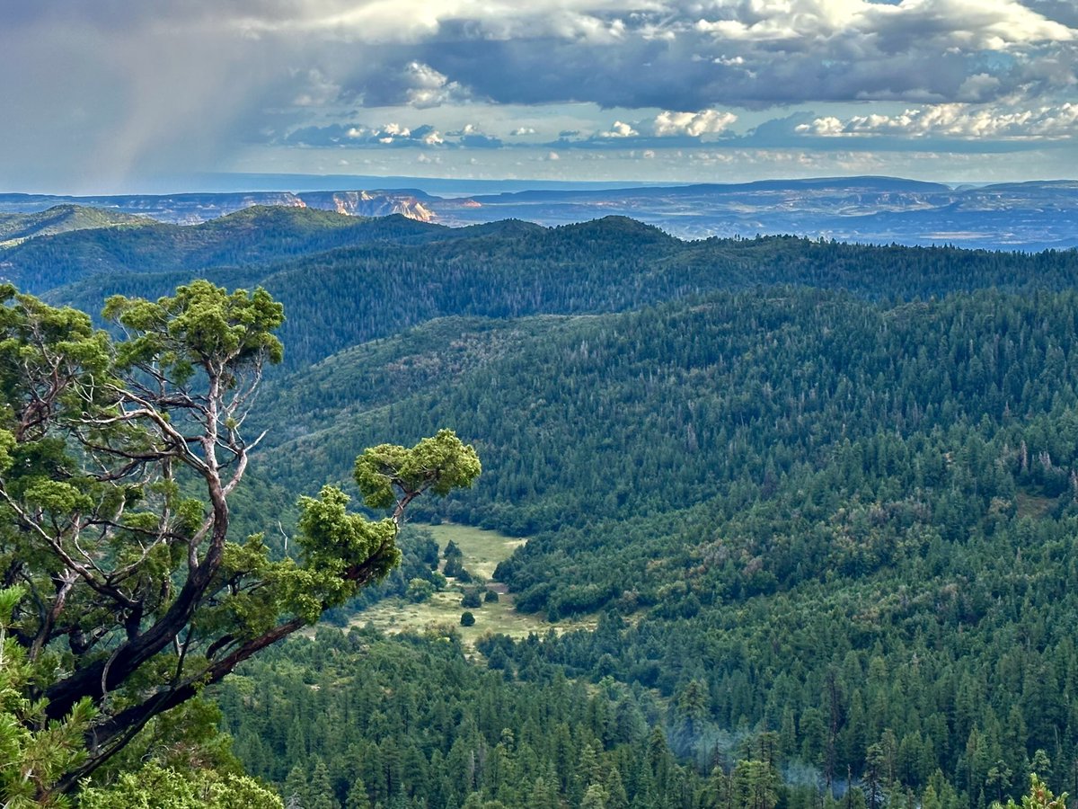 Lowry Snow tweet media