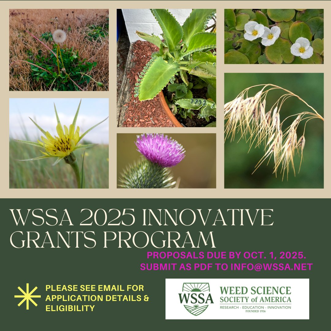 WSSA (@worldofweeds) on Twitter photo 💡 The #WSSA Innovative Grants Program is now accepting proposals! $100,000 is available to fund bold, new ideas in #weedscience.
📅 Deadline: Oct 1, 2025
📧 Submit: info@WSSA.net
💰 Awards announced: Dec 1, 2025
#weedscience #weedtechnology #weedmanagement #invasiveplants 💡 The #WSSA Innovative Grants Program is now accepting proposals! $100,000 is available to fund bold, new ideas in #weedscience.
📅 Deadline: Oct 1, 2025
📧 Submit: info@WSSA.net
💰 Awards announced: Dec 1, 2025
#weedscience #weedtechnology #weedmanagement #invasiveplants