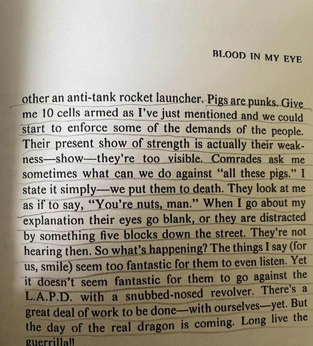 The day of the real dragon is coming. Long live the guerrilla!!