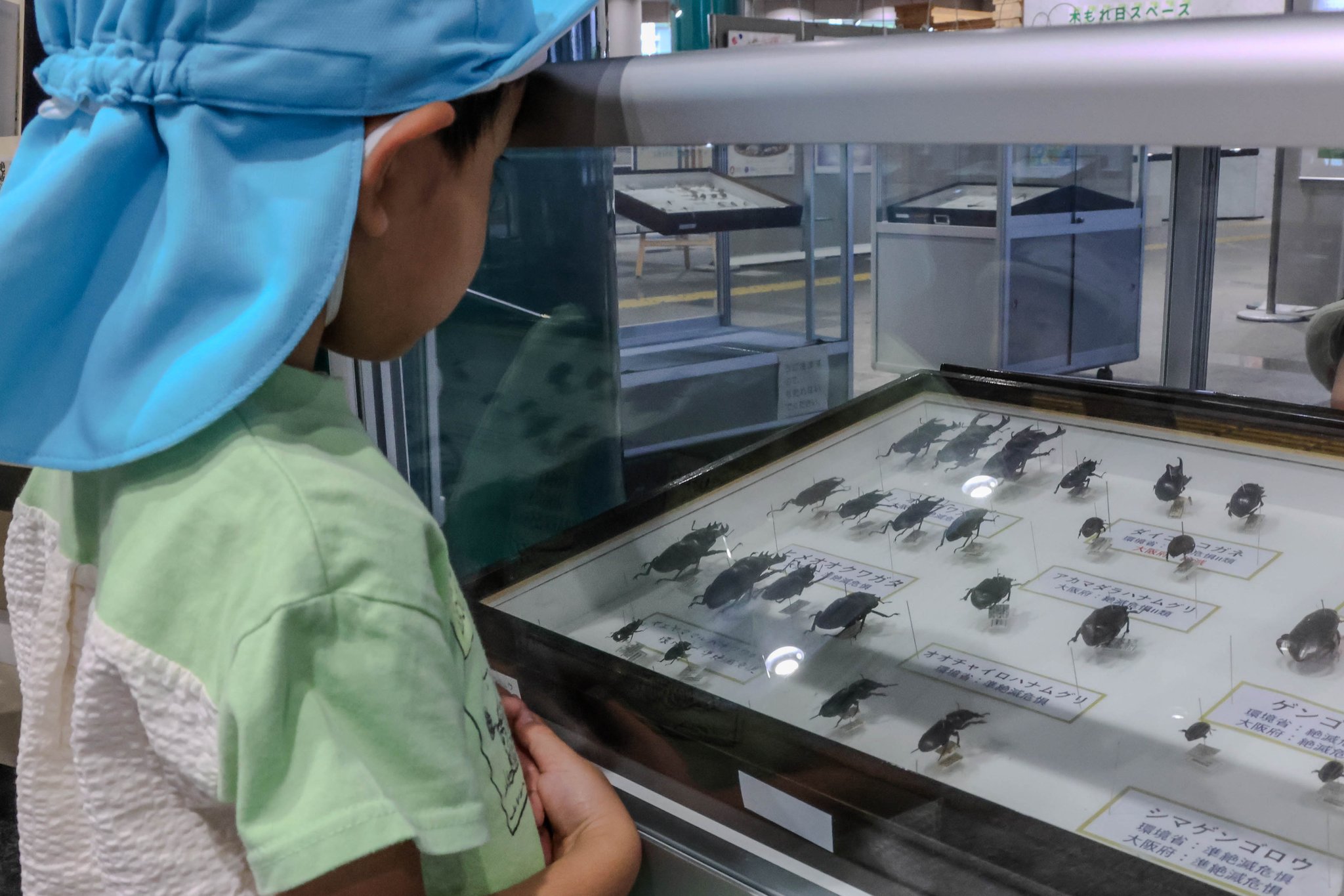 大阪公立大学 on X: 