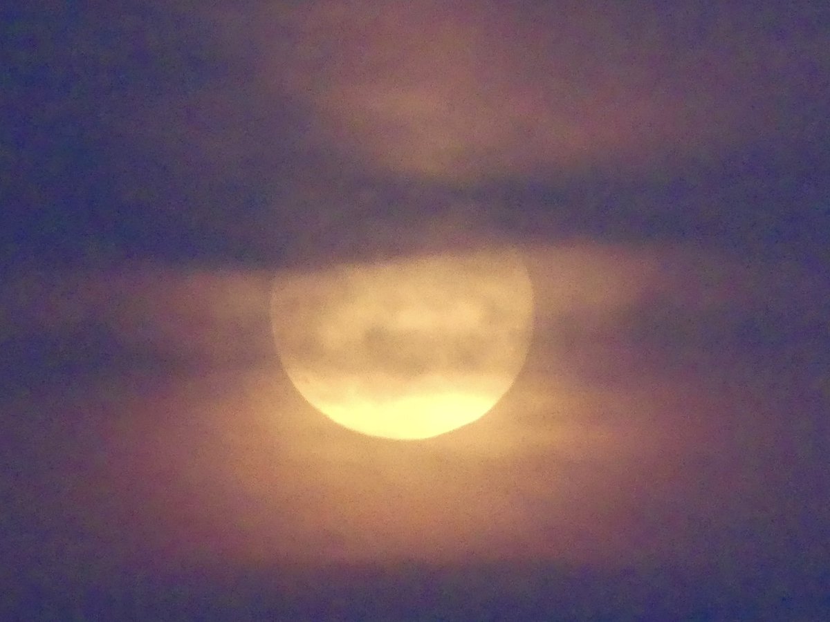 Full Corn Moon rising at dusk in Washington DC 🌽 🌕