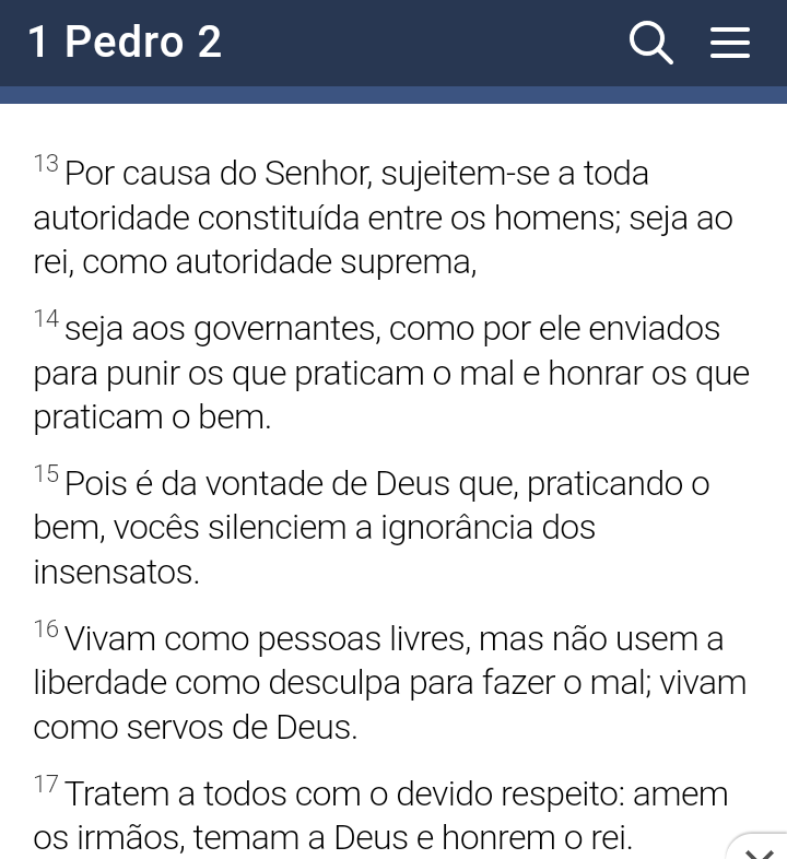 Urso do Blog tweet media