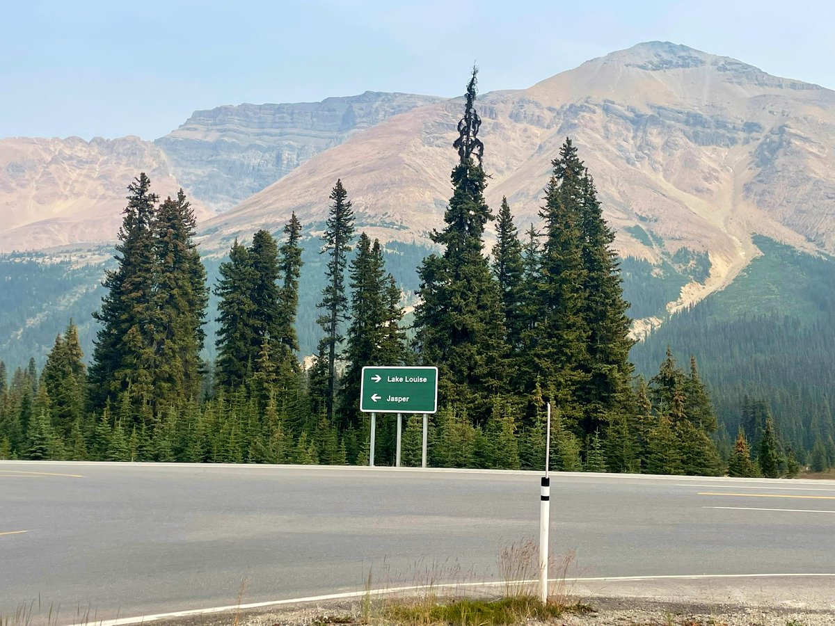 Simon_JonesYYC's tweet photo. 1/Named by a Boston clergyman in 1898 for its stellar views (I’m sure there’s a movie script to made), Observation Peak is a fun and rewarding mountain on the Icefields Parkway. The trailhead lies across the road from the Peyto Lake parking lot, so be ready for an opening sprint. https://t.co/YuFKPyqXMW