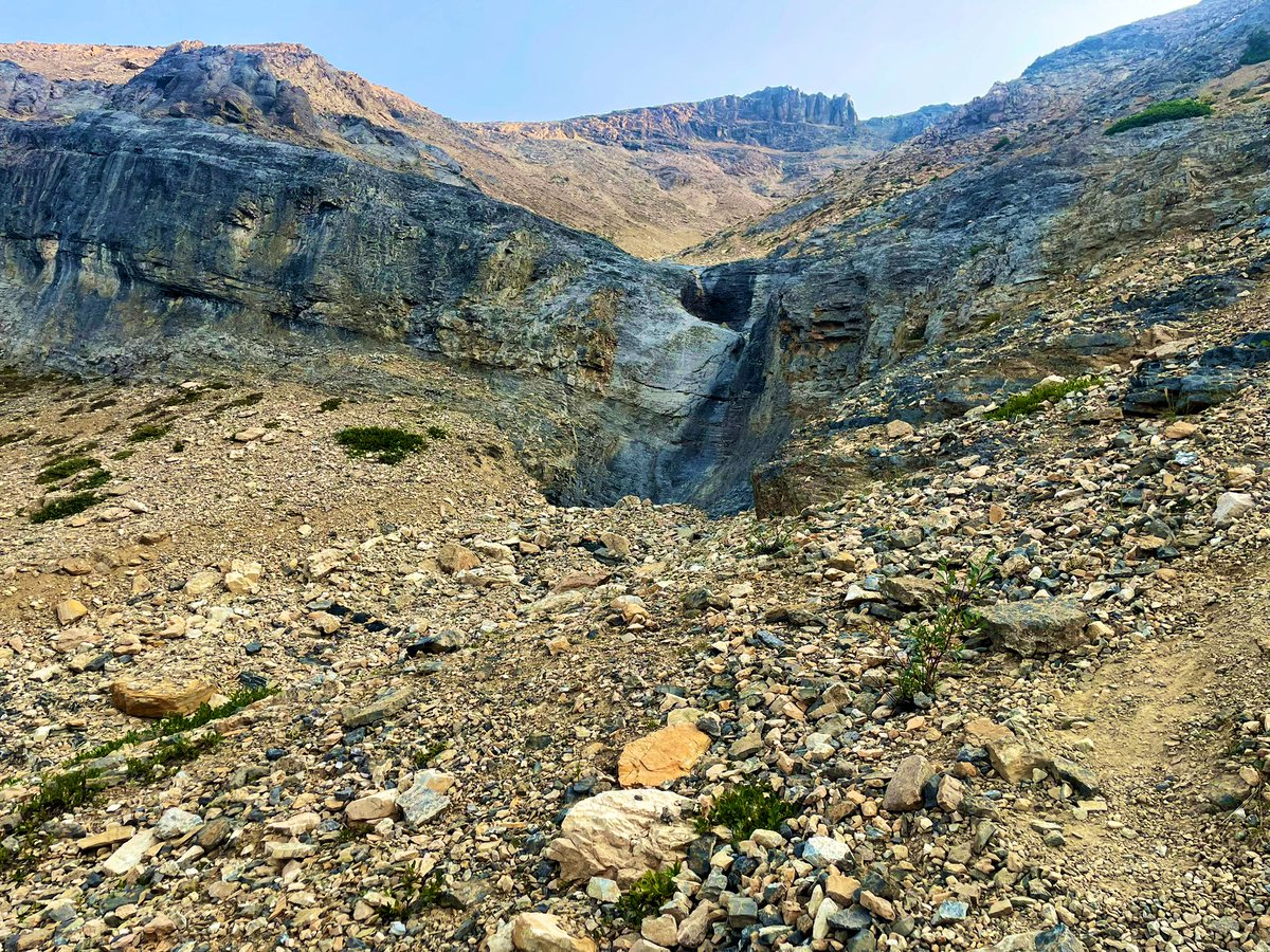 Simon_JonesYYC's tweet photo. 1/Named by a Boston clergyman in 1898 for its stellar views (I’m sure there’s a movie script to made), Observation Peak is a fun and rewarding mountain on the Icefields Parkway. The trailhead lies across the road from the Peyto Lake parking lot, so be ready for an opening sprint. https://t.co/YuFKPyqXMW