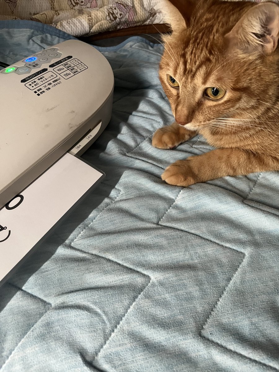 るるるる るる³ (@lullululu_) / X