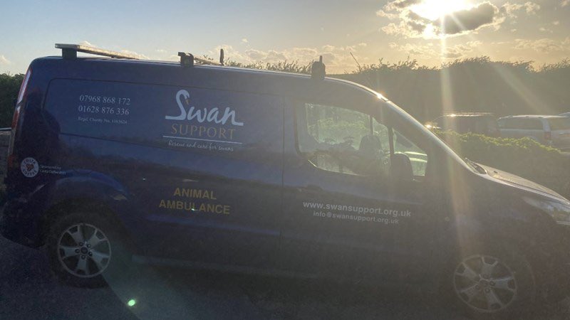 One of our rescue ambulances has broken down and needs urgent repairs. With only one vehicle, we can't reach as many swans and waterfowl in need. Please help us get back on the road and continue saving lives. Every donation makes a difference. Thank you.

justgiving.com/campaign/swans…