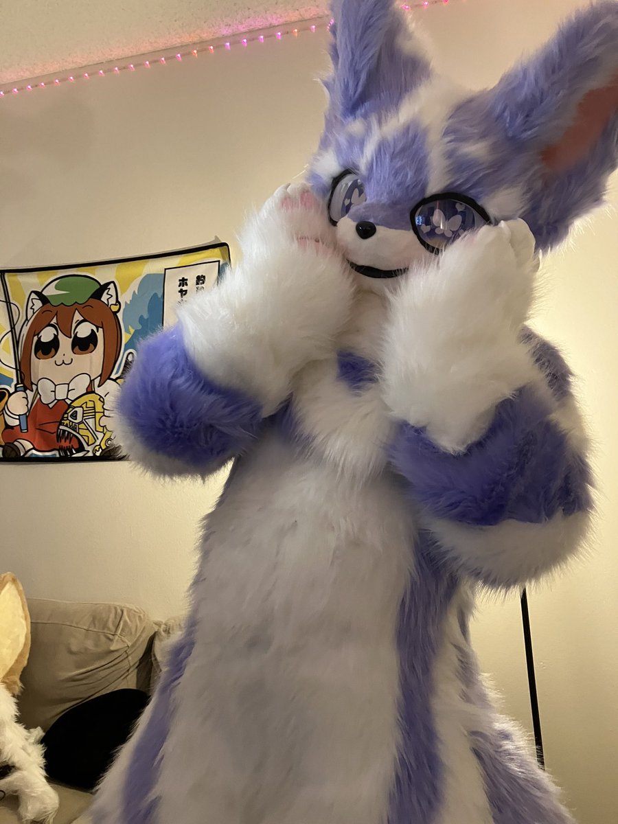 Hello, I am Taro the Cat and I hope to share more photos with you soon!