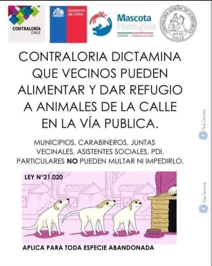 Recordatorio: nadie te puede prohibir darles agüita , comida y que le pongas casitas 🏠 a los perritos 🐶 de las calles! Si te lo prohíben , esas personas, pueden estar expuestos a multas !!!!RT así que bo lo aguantes!!! Sigamos luchando por nuestros amados perritos!🥹