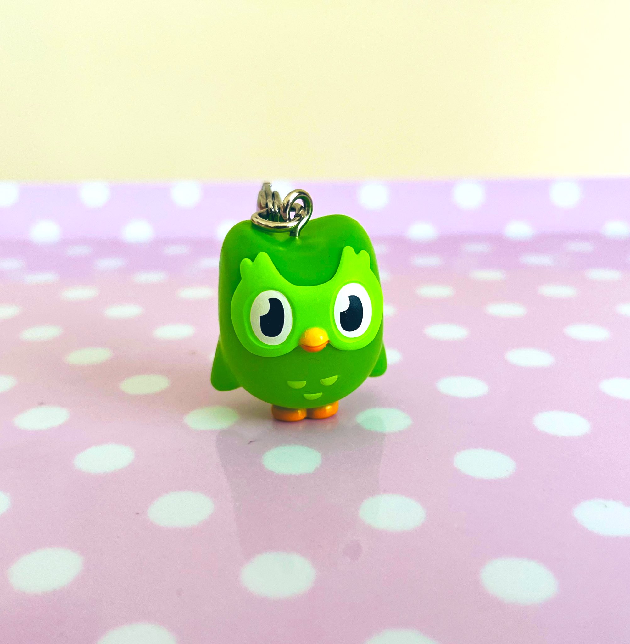 duolingo - Search / X