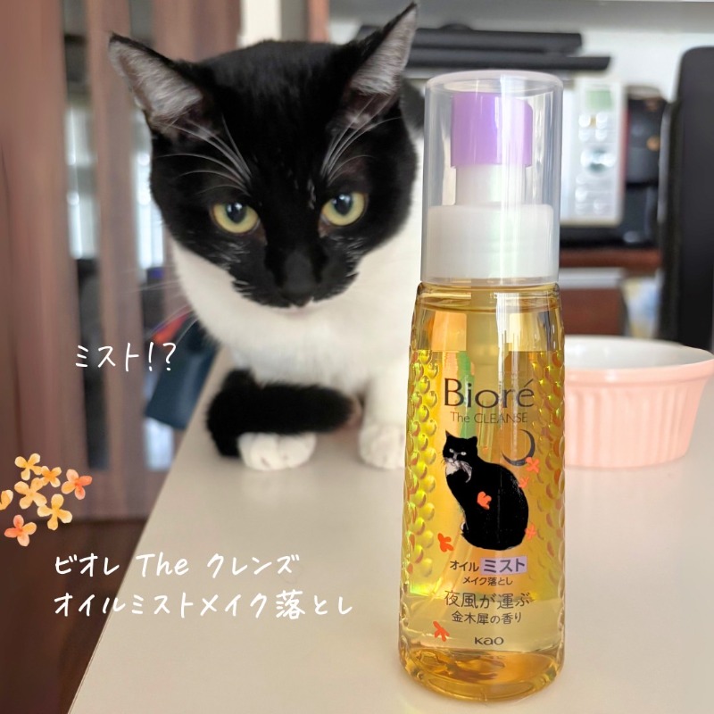 お化粧ねこ 公式】Biore on X: 