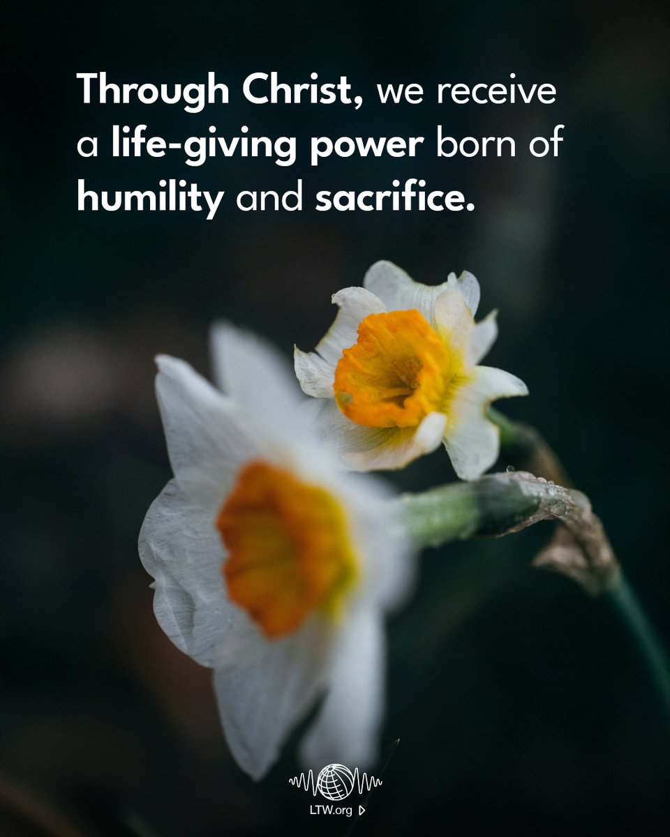 True power is not found in climbing higher, but in kneeling lower. It is born at the Cross, where pride dies and the Holy Spirit fills us with life-transforming strength.

👉Confront your definition of power in today’s devotional.
📚Read: leadingtheway.link/seeking-power-…
