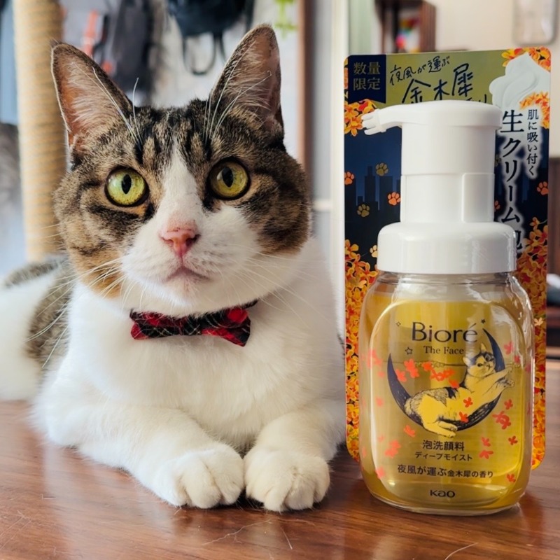 猫猫ちゃん専用 FUNKS キャットランナー（直径90cm） - Funkstrading 株式会社