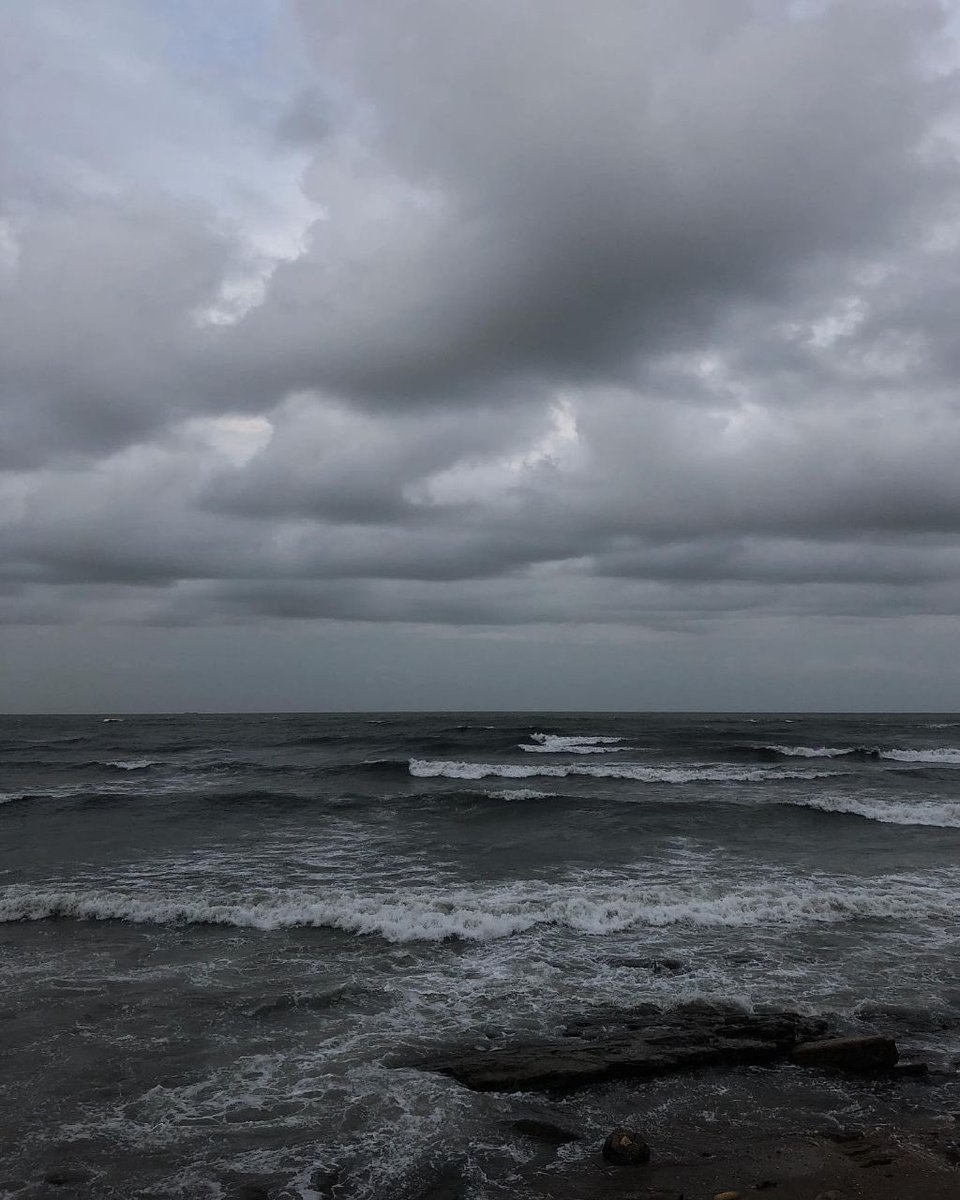 إن قامَ ماءُ البحرِ
يأتي وجهُكِ النامي على شفقِ البلاد
يأتي طليقًا
مُوثقًا بالريح والريحان
والصوت المُدَجَّجِ بالجياد.