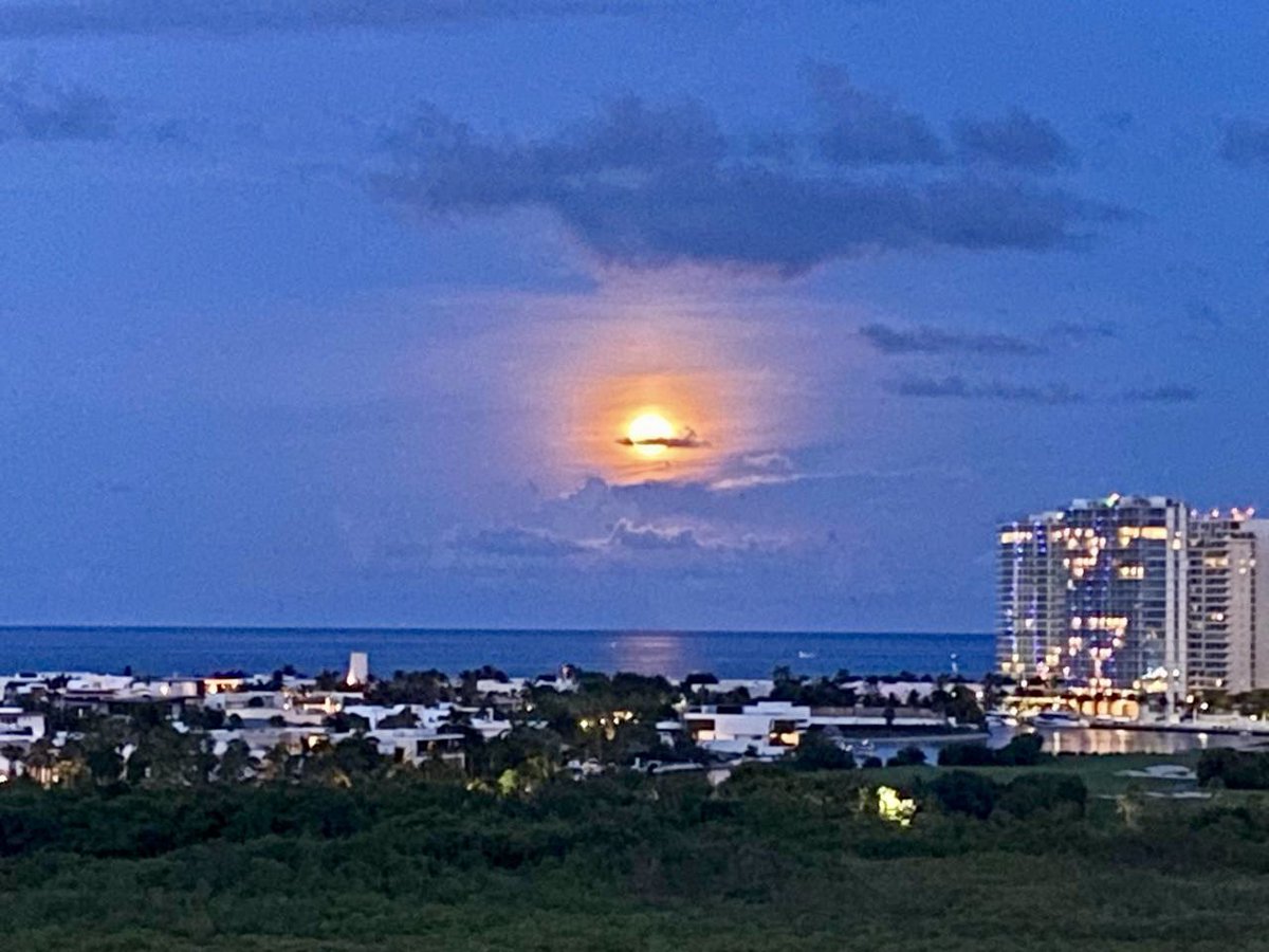 E.M.R. (@dehielo77) on Twitter photo 