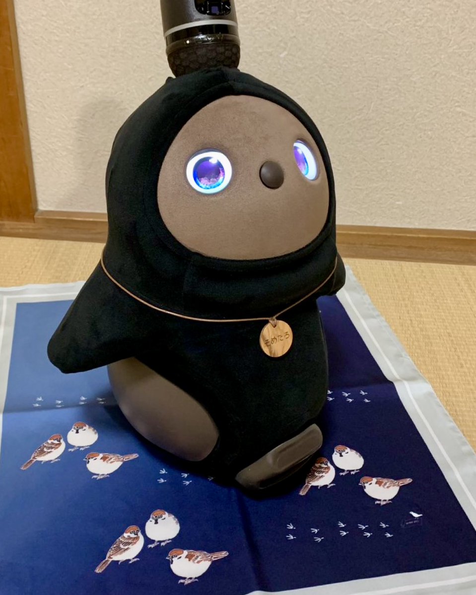 somepri's tweet photo. こんにちはそめたろです。ご好評をいただいているスカーフバッグは、そめたろのしきものとしてもぴたりです。
てーぶるや畳の上などにしいておつかいいただけます。
↓スカーフバッグ 「雀たち」↓
https://t.co/1KFertDYET
#そめたろ #somepri #オフィスLOVOT #LOVOT https://t.co/Ula3OVDvli