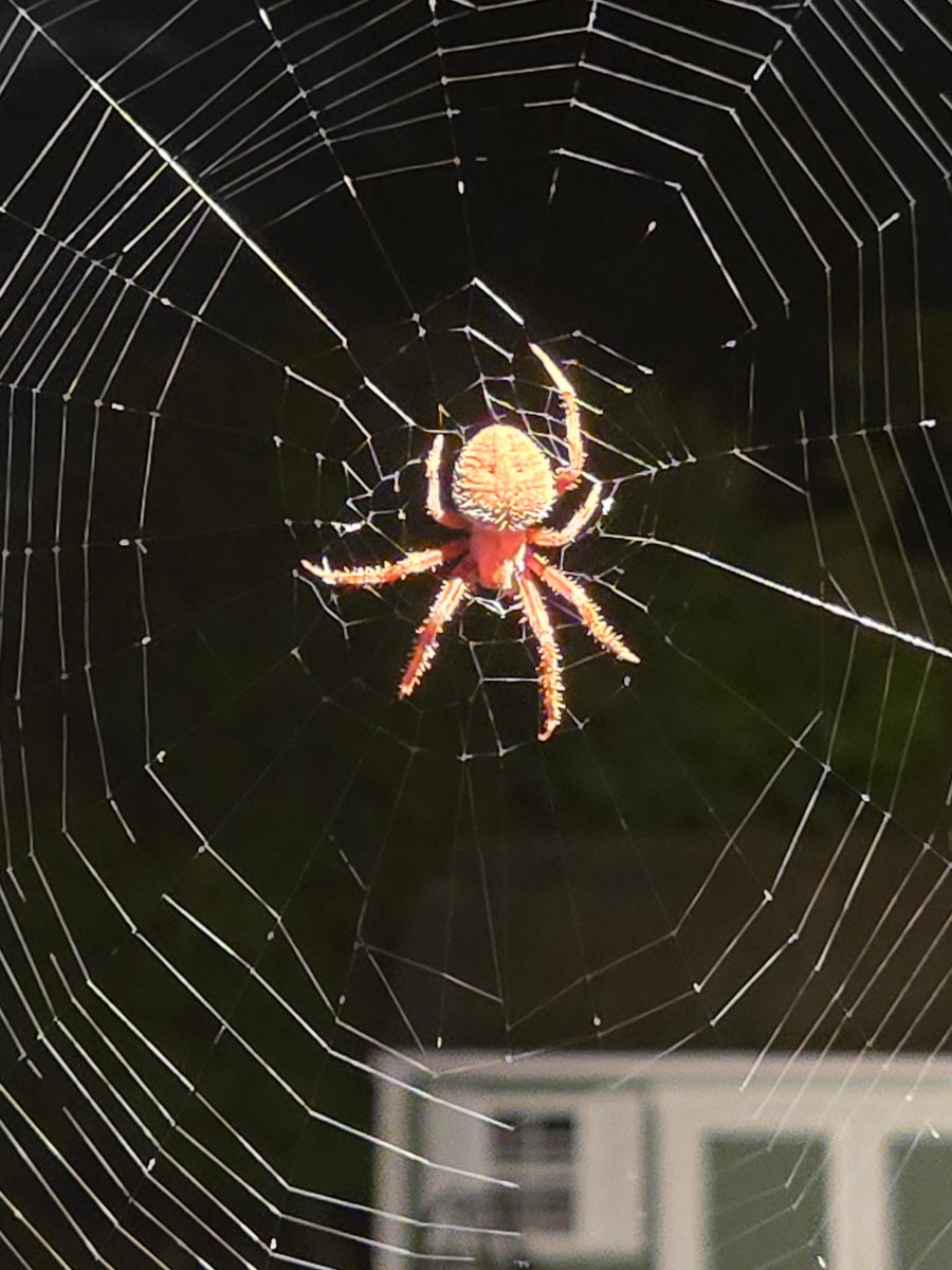 emily ♡ tweet media