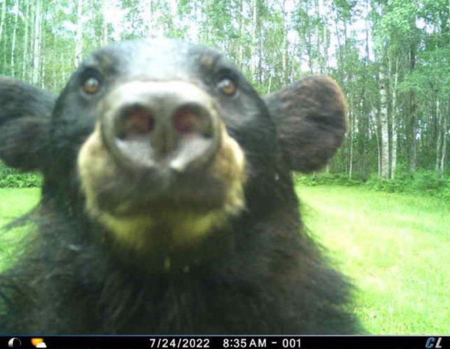 stichedstars's tweet image. I didn’t realize I had an outstanding balance on my insurance so im down back to $50!! 

❣️ needing to raize $150 for gr0ceries &amp;amp; gas 
disabled trans person in need of h3lp, I have almost no f00d at home. 

Goal: $50/150

Ca: asherrainn
Pp: apaige23