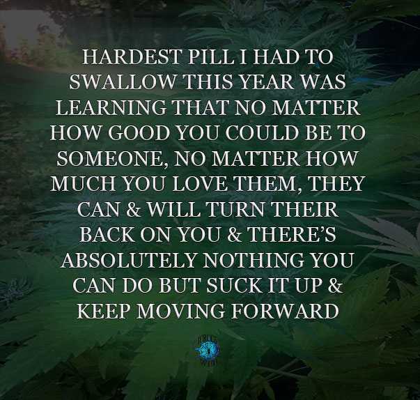 jCruceWeb tweet media