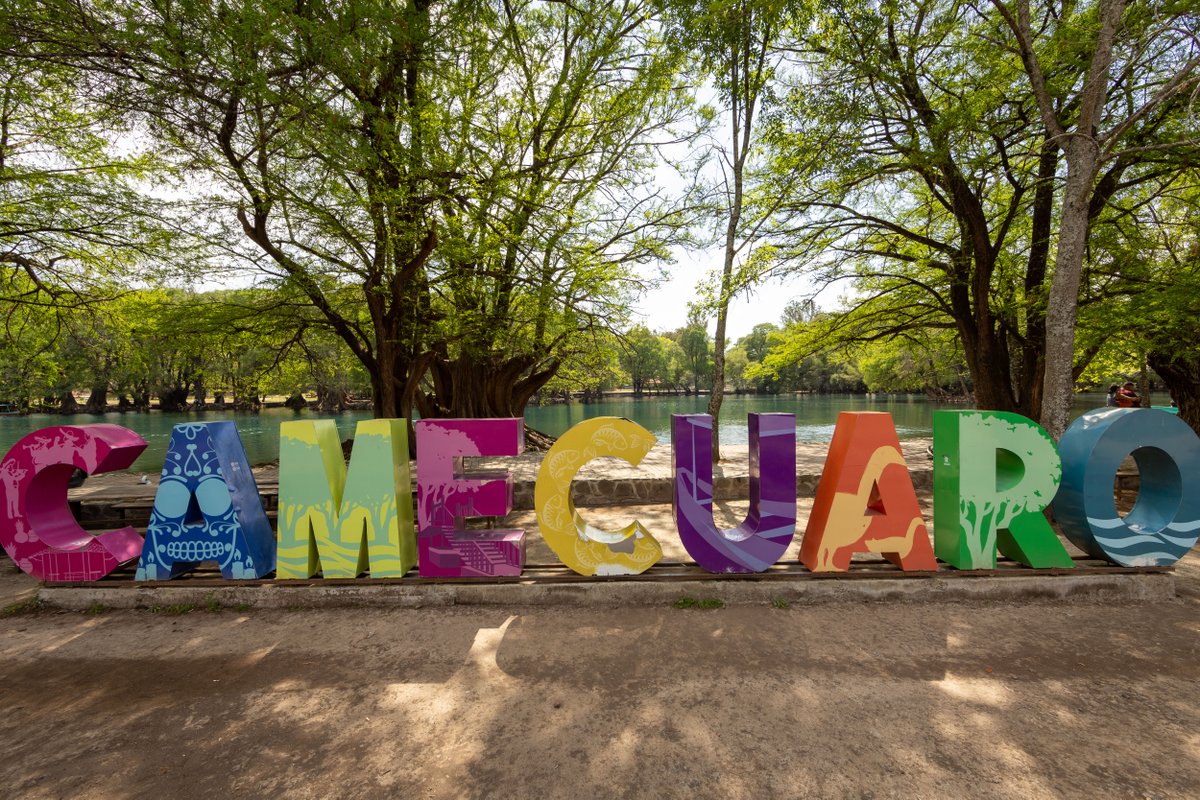 Michoacán tweet media
