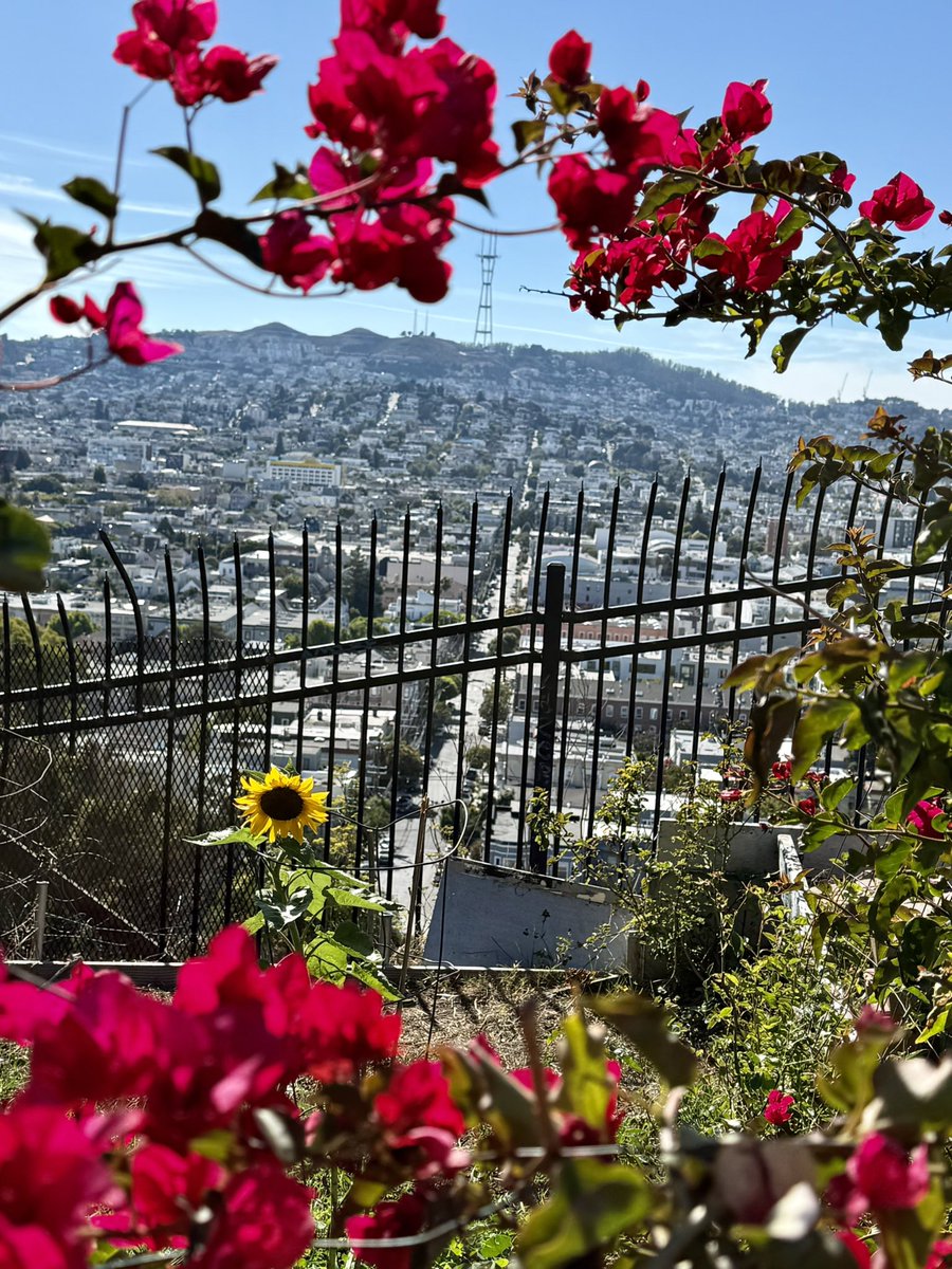 Here’s a photo of gorgeous San Francisco today. #sanfrancisco