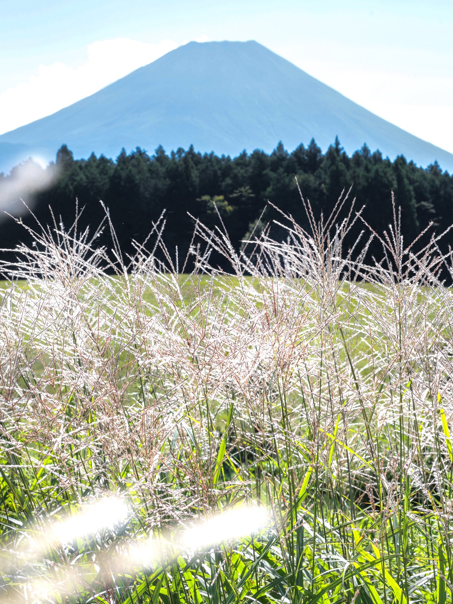 富士宮市観光協会［公式］富士山 on X: 