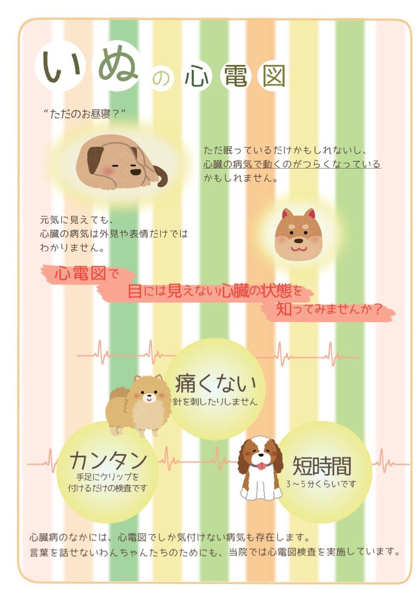 小動物の心臓病学―基礎と臨床― ファームプレス｜獣医学・動物看護の専門出版社