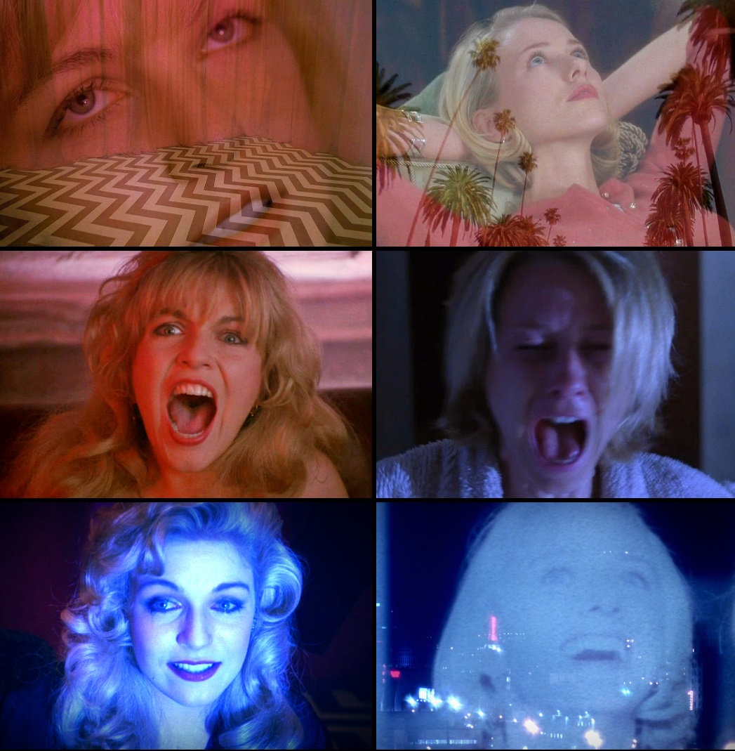 Dr. Hawk tweet media