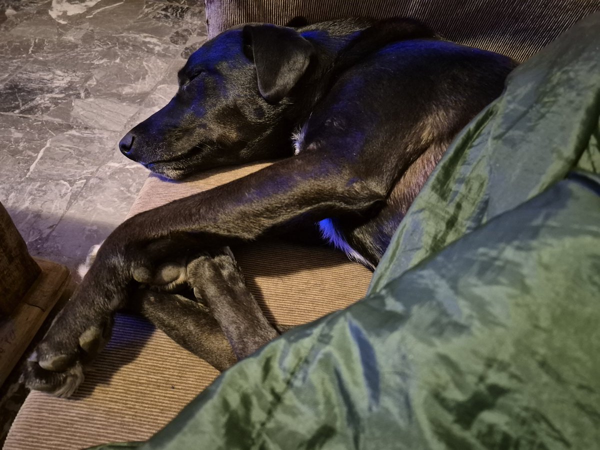 mcrisr's tweet photo. Acá esta negrita del conurbano descansa feliz. #GanoAxel https://t.co/DnSPolGrn9