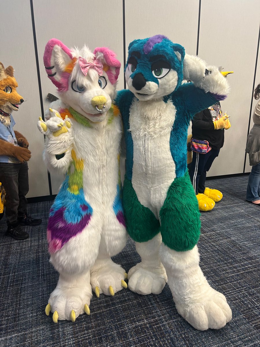 Had such a great time in Tulsa at TTFC! Anyway, no more being a fluffy animal, back to uni 😔